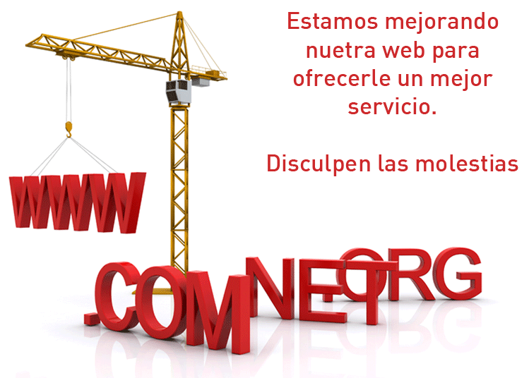 PAGINA EN OBRAS